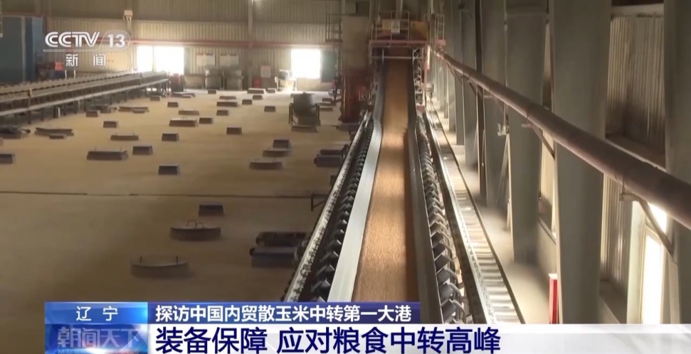 1700810263196575.jpg 20231124_143531_013.jpg